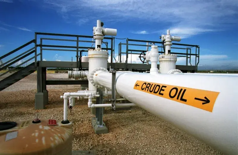 Niger govt appeals to Dangote Group over Bida Basin oil exploration