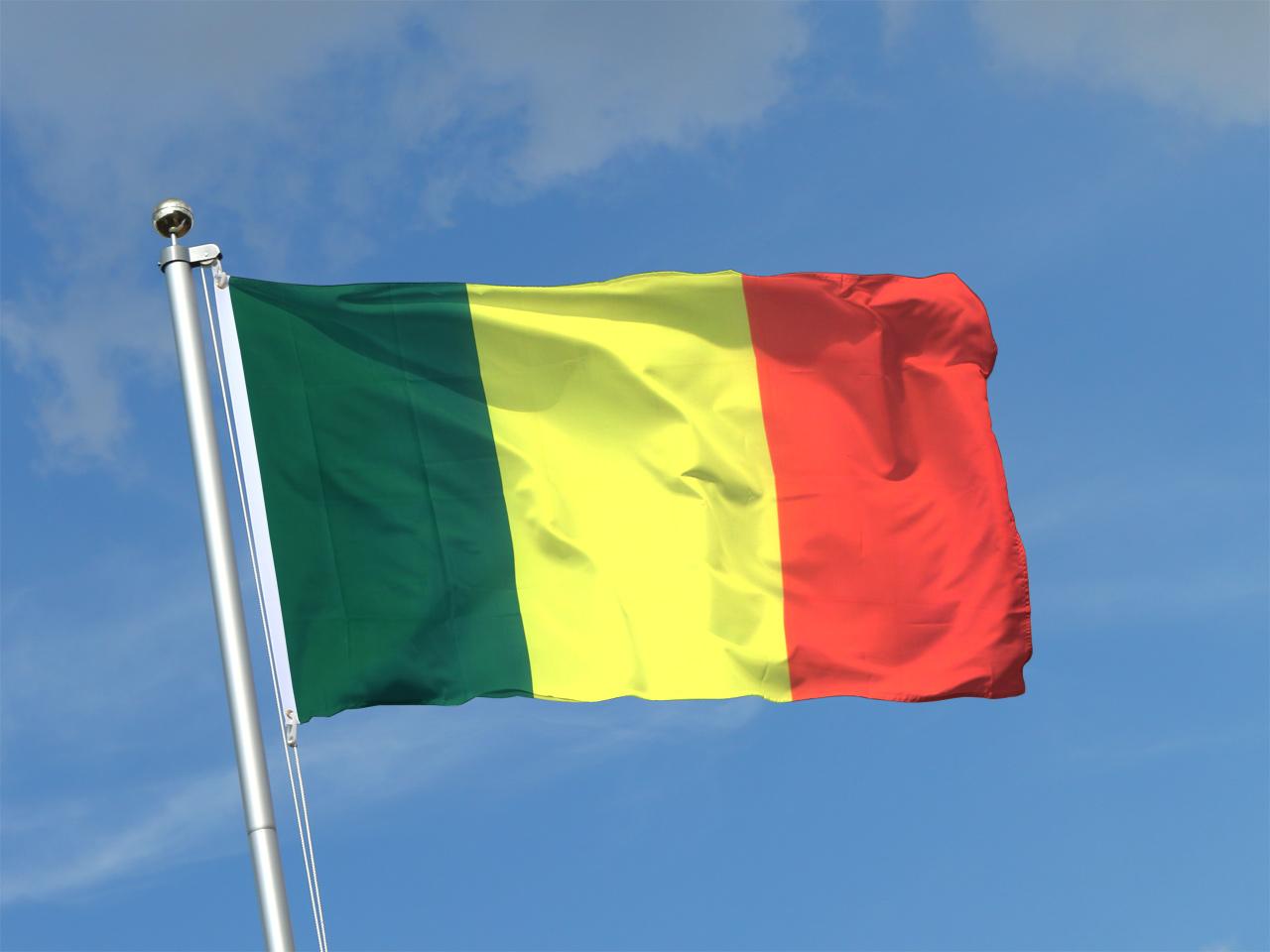 Mali imposes nightly curfew as coordinated attacks reach capital