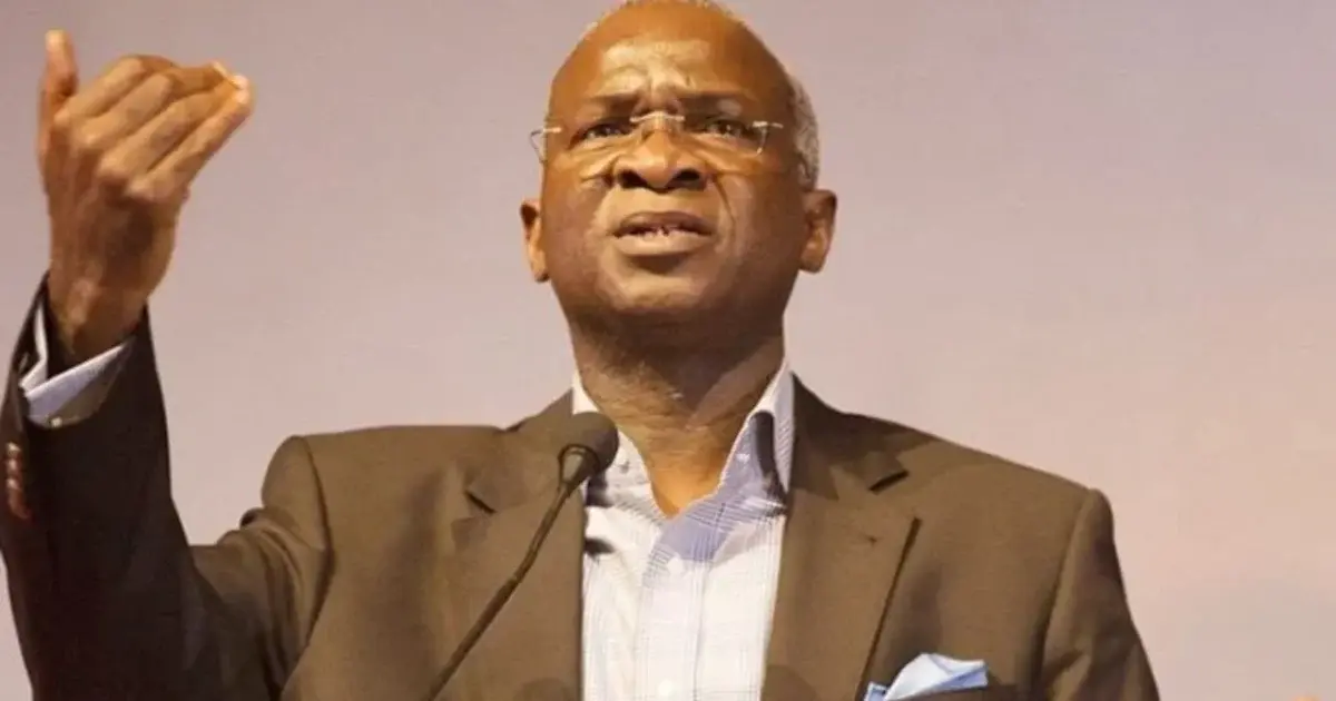 Fashola an outstanding governor, leader, Tinubu celebrates ex-minister at 62
