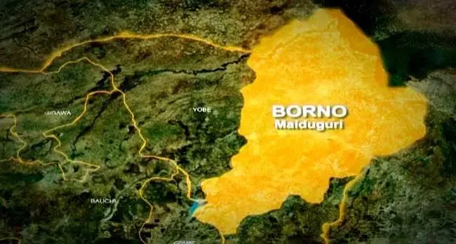 UPDATED: Police comb forest after terrorists abduct NECO students in Borno