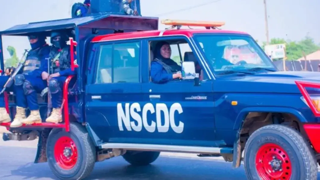 Man nabbed for vandalising Jigawa forest fence