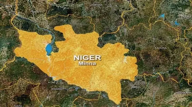Niger records high Hepatitis prevalence