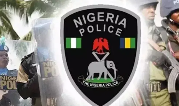 Police raid criminal hideout in Anambra, recover guns, others