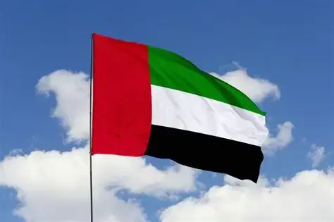 UAE bans social media for under-15s