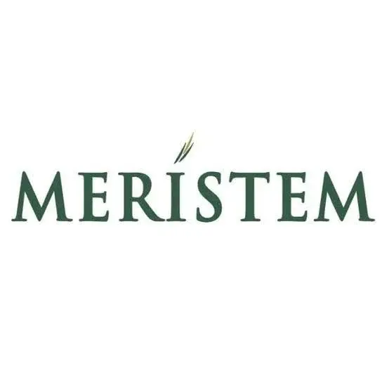 Meristem unveils inaugural Nigeria family wealth report