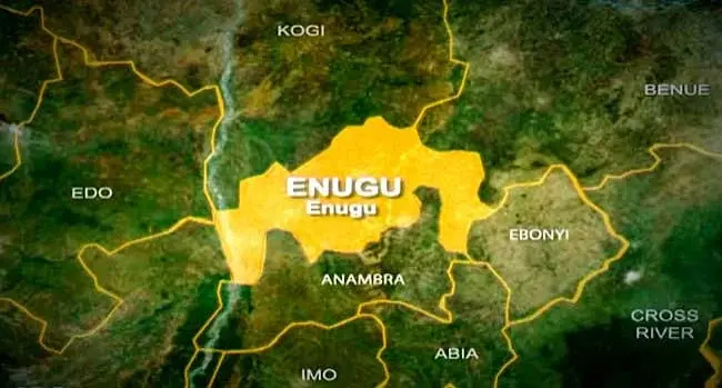Two herders killed as gunmen raid Enugu cattle camp