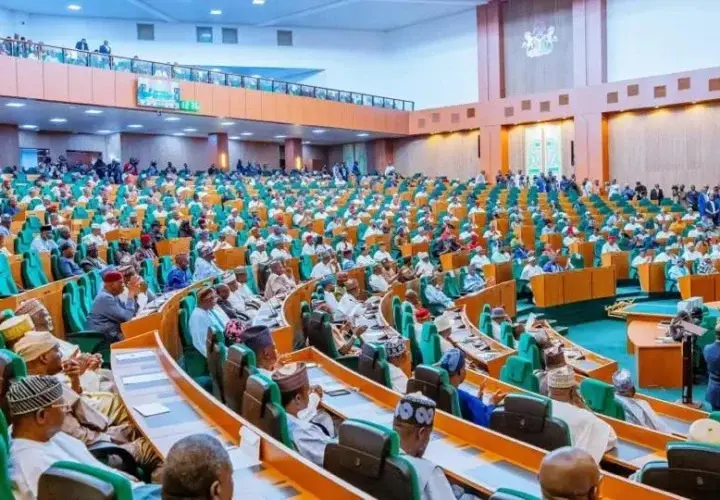 Police silent as Reps’ ultimatum on fake agency DG expires today