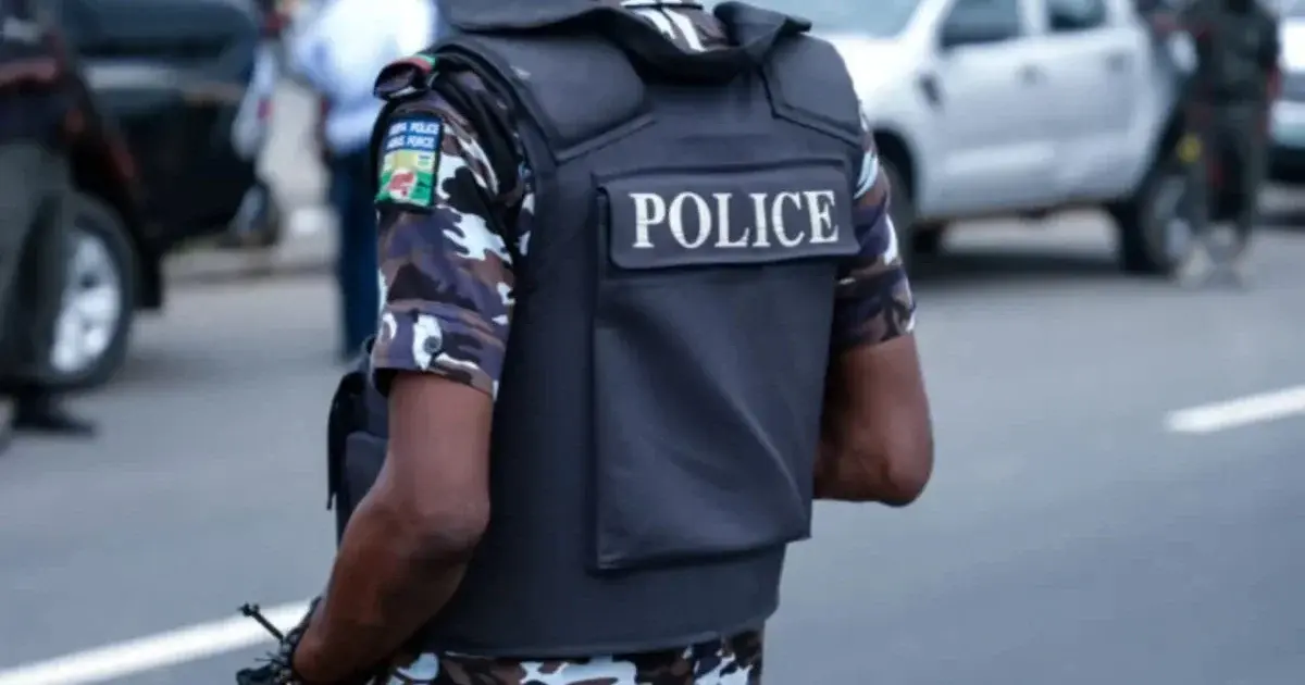 Police recover 43 rustled sheep in Sokoto