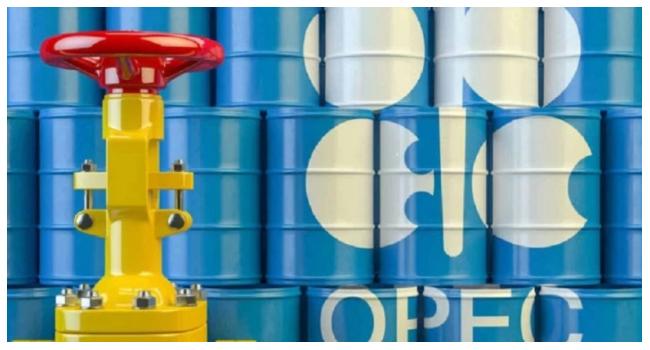 OPEC Exit 'Not Directed Against Anyone', Says UAE