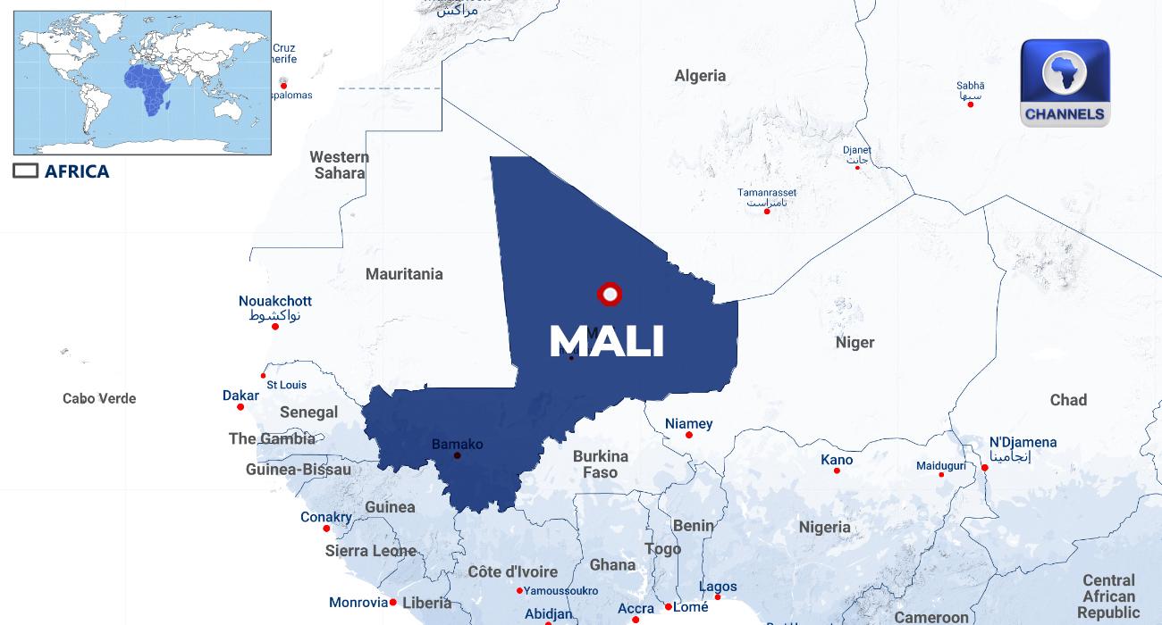 Mali Military Drone Strikes Kill At Least 10 Civilians