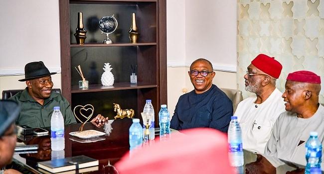2027: Peter Obi, South-East Leaders Meet Jonathan Behind Closed Doors