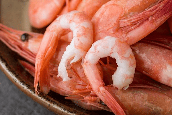 Ecuador’s $8.4bn shrimp success holds diversification lessons for Nigeria
