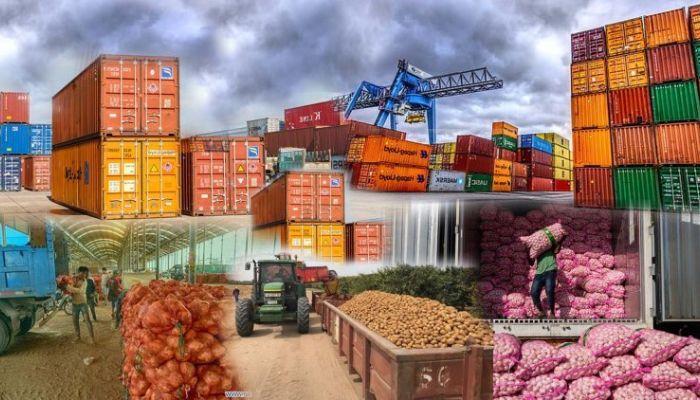 FG launches committee to tackle agricultural exports rejection