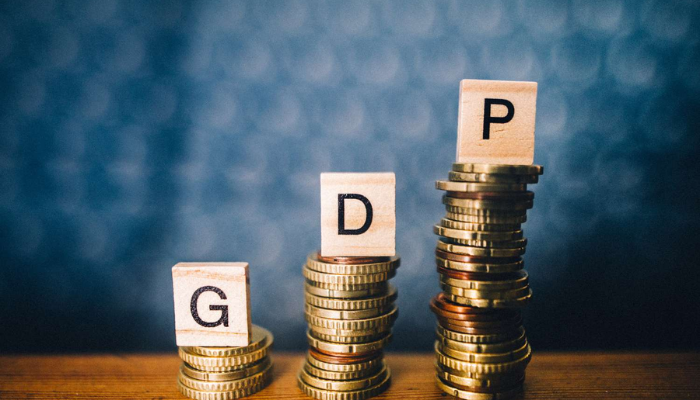 Nigeria’s debt-to-GDP ratio modest amid subnational revenue growth – Presidency