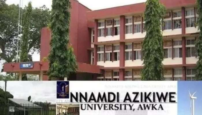 UNIZIK Confucius Institute students shine at 19th Chinese bridge competition, win national championship