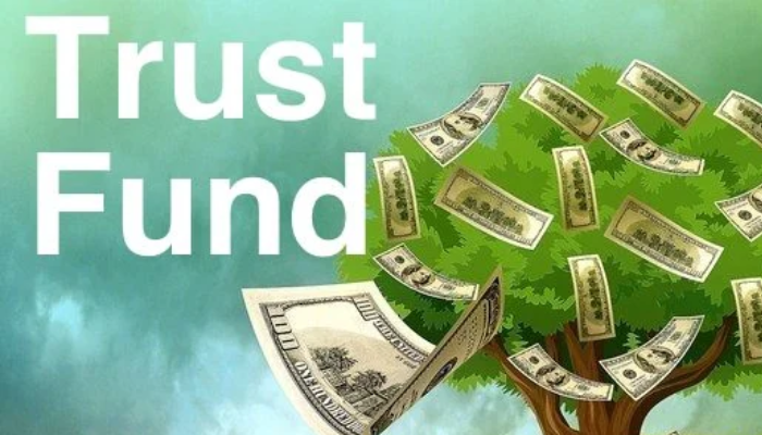 Benin trust fund targets N7bn annual pool through daily micro-contributions