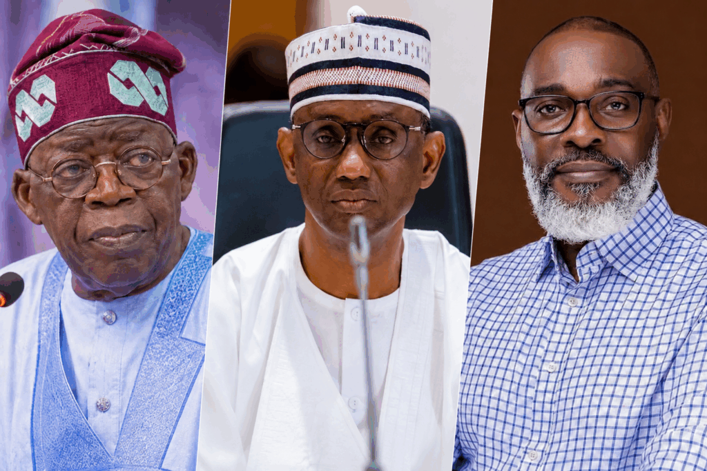 Tinubu’s homeland security adviser appointment raises questions over NSA powers
