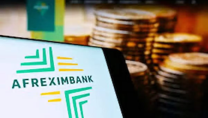 Afreximbank deepens South Africa push with $8bn industrial finance deal