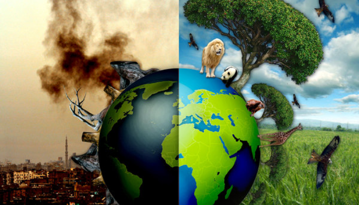 Rivers’ stakeholders call for stricter environmental controls, sanitation protocols