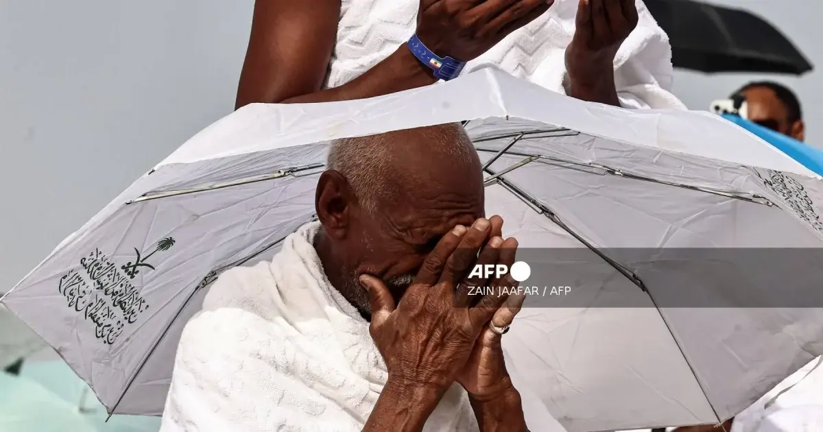 Pilgrims pray on Mount Arafat as hajj reaches peak