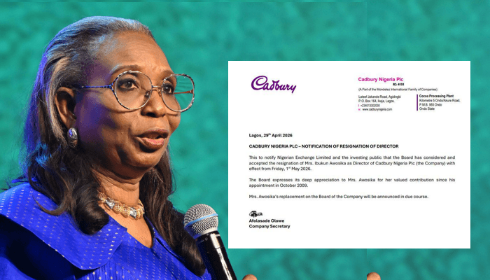 Cadbury Nigeria Director Ibukun Awosika Resigns