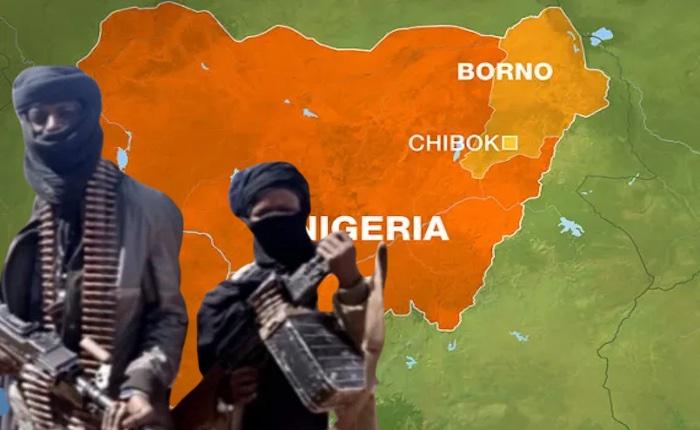 Boko Haram, ISWAP Terrorists Burn Schools In Fresh Chibok Attack