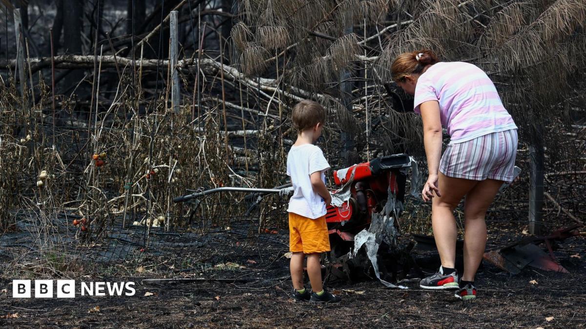 France wildfires reveal hundreds of WW2 shells in village