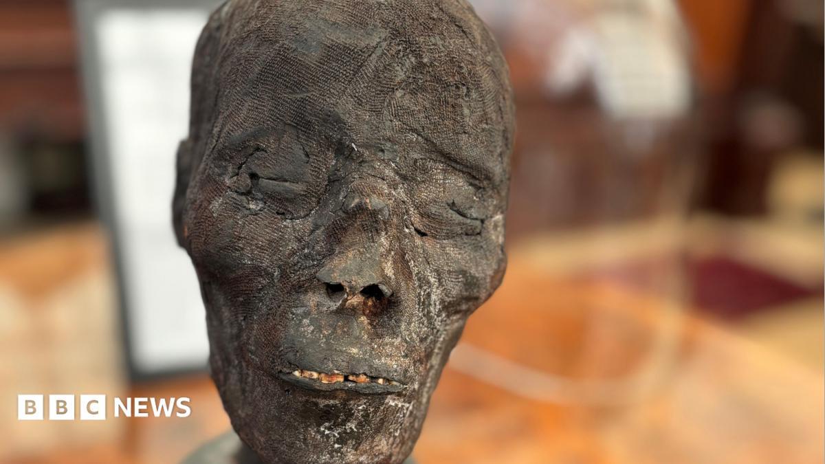 Auction house criticised over sale of 3,000-year-old mummy head