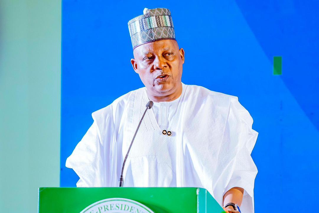 Northern communities need urgent investment in health, education- Shettima