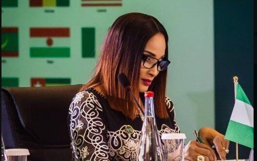 Nigeria’s new foreign affairs minister outlines objective