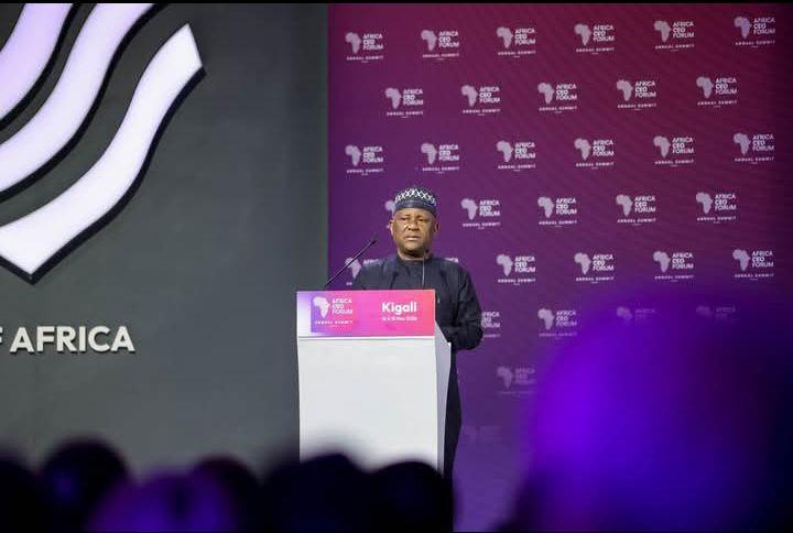 How I was denied entry into South Africa – BUA Chair