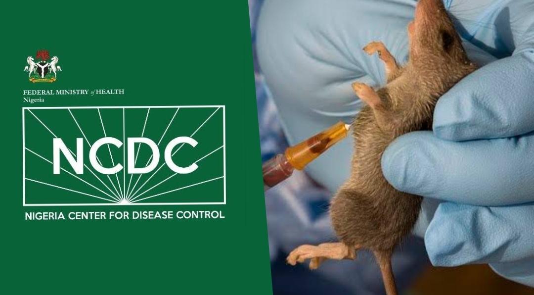 NCDC says no confirmed Ebola case in Nigeria amid regional outbreak