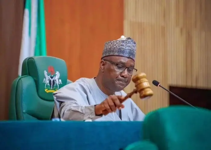 Insecurity: Reps move to review defence laws