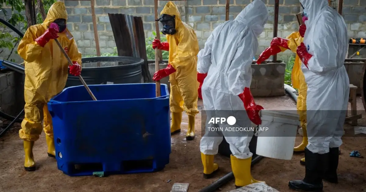 NDLEA destroys $360m drug lab linked to Mexicans in Ogun